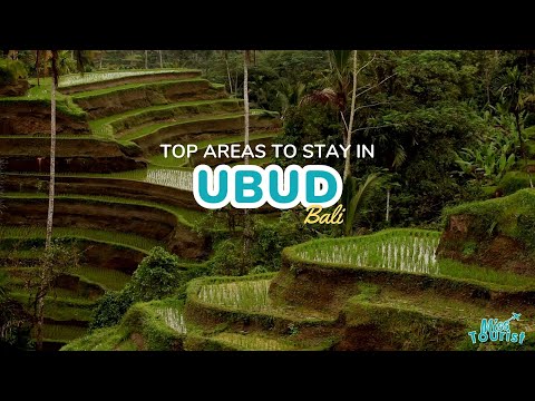 🌴 Local Guide: Where to Stay in Ubud 2024 - EPIC Villas!