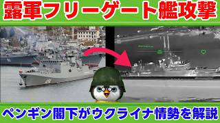 【世界のニュースを解説】ウクライナ情勢を解説【ペンギン閣下の解説】