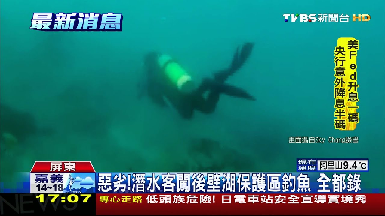 惡劣!潛水客闖後壁湖保護區釣魚 全都錄