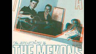 The Mekons 