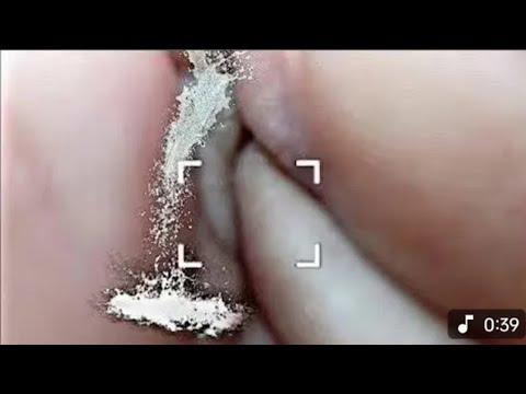 Meri Jaan Re (Official Video) Singer Prasun New Song 2023 || JAWAN: Chaleya (Hindi) | Shah Rukh Khan