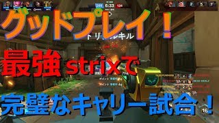【paradins】久々のパラディンズだったけどまあまあいい試合ができた【paladins】