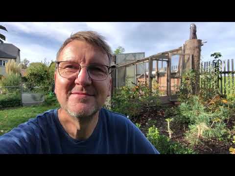 2022 Freilandüberwinterung meiner Pre-Bonsai. Fisch im Gießwasser?
