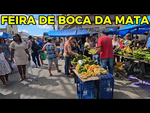 FEIRA DE BOCA DA MATA - AL | CONSULTA DE PREÇO 