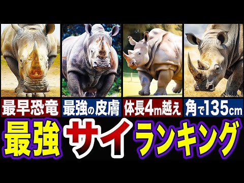 サイ:種類、特徴、生息地 -