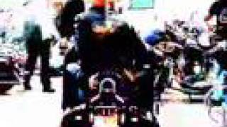 General Degree  "Miss Gorgeous"