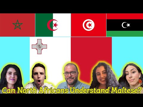 Can North Africans Understand Maltese?