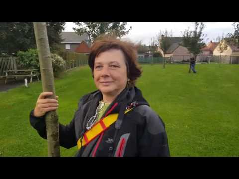 Bewonersplatform St.-Jan Wingene / dorpsbelangen