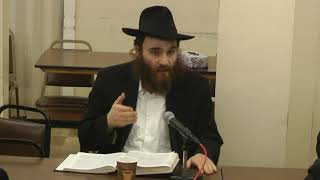 לקוטי תורה פרשת חוקת ד״ה ויעש משה נחש נחושת הרב שלמה קפלן שנת תש״פ