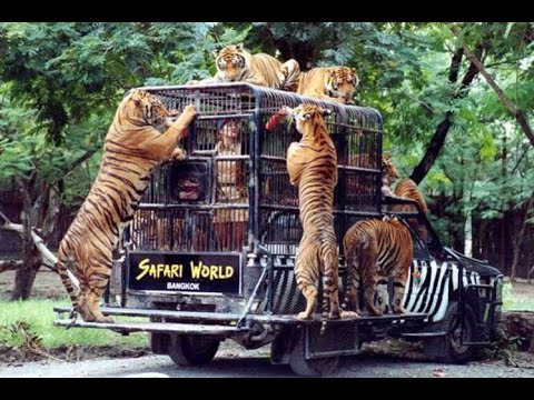 Safari World Таиланд, Бангкок