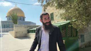 זכינו: אלפי יהודים עלו להר הבית בחג הסוכות! | הרב אלישע וולפסון (ישיבת הר הבית) - התמונה מוצגת ישירות מתוך אתר האינטרנט יוטיוב. זכויות היוצרים בתמונה שייכות ליוצרה. קישור קרדיט למקור התוכן נמצא בתוך דף הסרטון זכינו: אלפי יהודים עלו להר הבית בחג הסוכות! | הרב אלישע וולפסון (ישיבת הר הבית) - התמונה מוצגת ישירות מתוך אתר האינטרנט יוטיוב. זכויות היוצרים בתמונה שייכות ליוצרה. קישור קרדיט למקור התוכן נמצא בתוך דף הסרטון