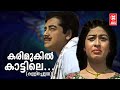 Karimukil Kattile Kallichellamma 1969 P Jayachandran P Bhaskaran K Raghavan Old Is Gold