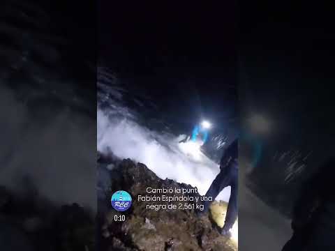 El momento en el que pescaron la pieza posteriormente descalificada