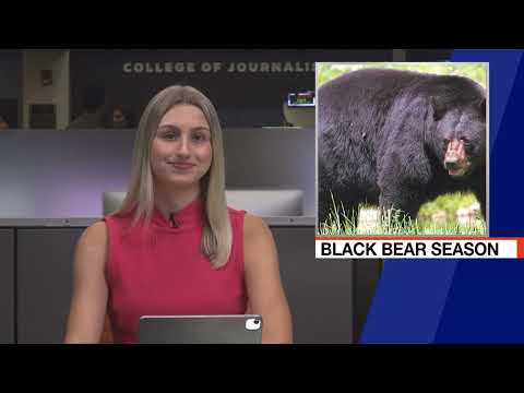 WUFT-TV NEWS Midday 03/31/25