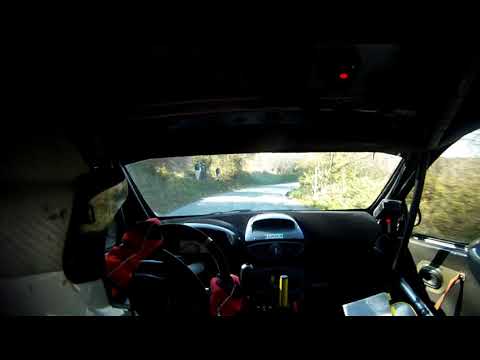 Rally della fettunta 2017 Soravia-Pais clioR3 Team71 ps4