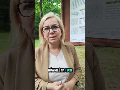 Paulina Hennig-Kloska ogłasza pierwszy las społeczny w Polsce