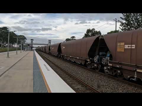 9201, LDP002, LDP005 with WK172