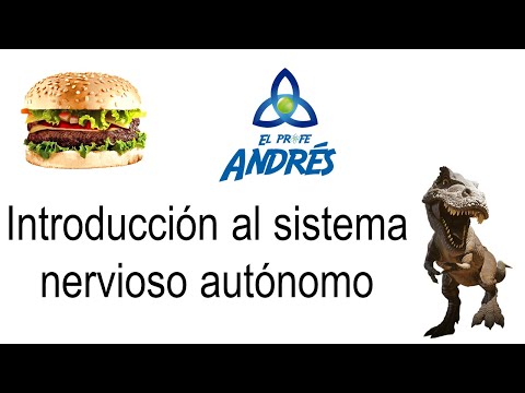 Sistema nervioso autónomo