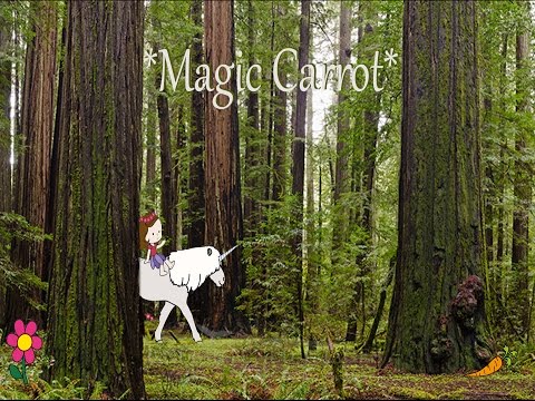 *Magic Carrot* von Celia Gerber & Julia Haag
