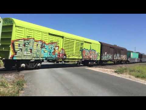 freight train 5PM5  NR100 NR48 NR95