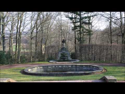 Siegfried Matthus: Divertimento - Das Triangelkonzert (1985) für Orchester