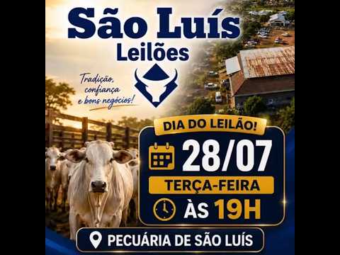 São Luís de Montes Belos  - GO   28/07/2026