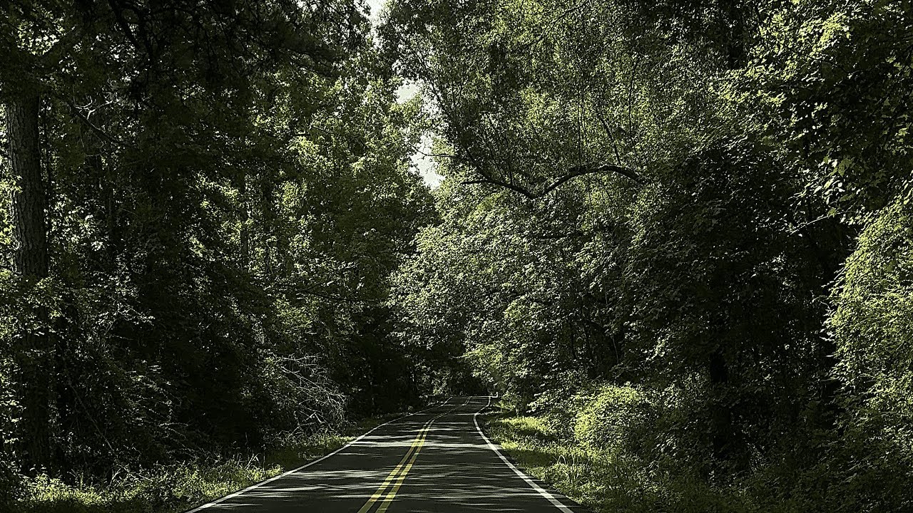 𝐏𝐋𝐀𝐘𝐋𝐈𝐒𝐓ㅣthe verdure's maiden voyage