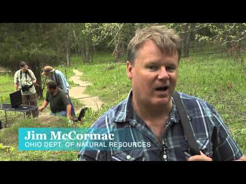 Tiny camera explores ant colonies