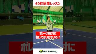 【忙しい人向けテニスレッスン】ボレーにテイクバックは100パー必要です〈ぬいさんぽテニス（Tennis）〉 #テニス #テニスレッスン #tennis #ぬいさんぽ