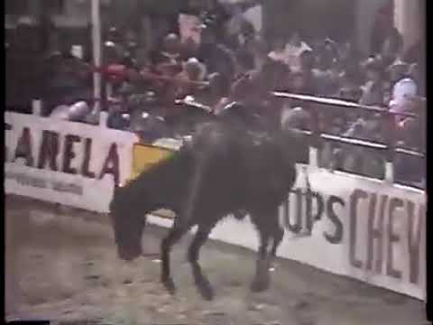 Final do cutiano em cajamar sp 1993