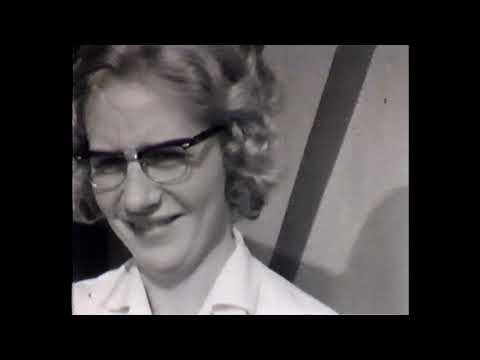 Dorpsfilm Minnertsga 1966