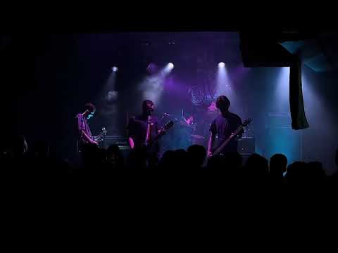 Time Stamps - Flowers (Official Music Video) 