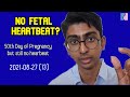 Week 7 of Pregnancy but still no fetal heartbeat | Antai Hospital