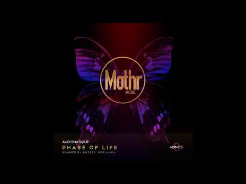 Audionatique - Revenge (Original Mix)