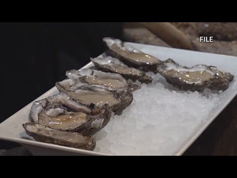 Flesh eating bacteria linked to oysters on the rise