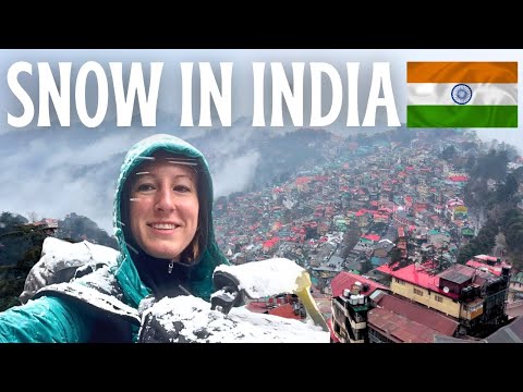 SHOCKED by SHIMLA 🇮🇳 Solo India Travel Vlog - Snow in India, Jakhu Temple, The Ridge & Mall Road