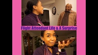 Flight Attendant Life Vlog 2 | Commuting | Surprising My Family