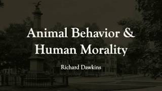 Morality and Animal Behavior: Richard Dawkins
