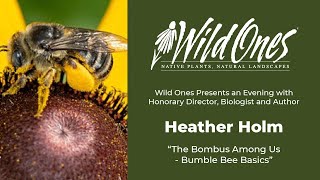 Wild Ones Honorary Director Heather Holm Presents &quot;The Bombus Among Us - Bumble Bee Basics&quot;