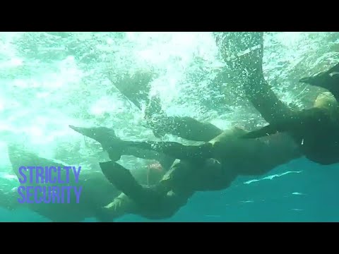 Shayetet 7: Istae'ls Elite Units of the Deep