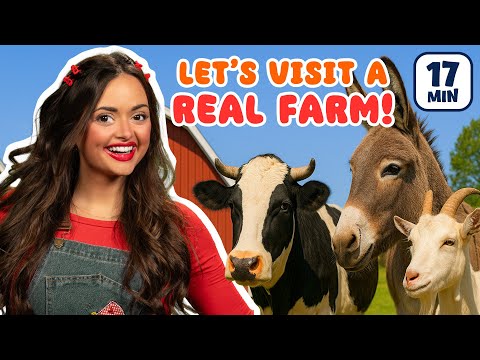 Farm Field Trip with Ms. Julie |  | Preschool, Toddler, Kindergarten | Ms. Julie's World