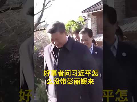 习近平春节出门没带媳妇