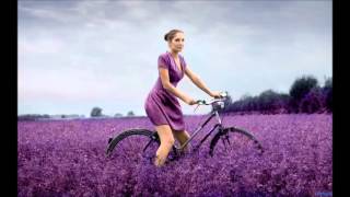 Crash Vegas - Beguiling