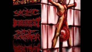 Devourment - Deflesh The Abducted