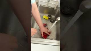 【注意】トレジョのイチゴを買う前に見て　サンフランシスコ在住のSujiQQが検証します。３つの注意点