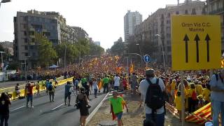 Ara és l'hora - Com va començar la gran ola de la V #votecatalonia
