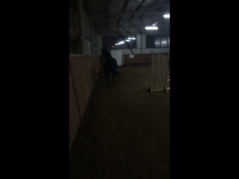 Omar liber in manejul CSE Decebal