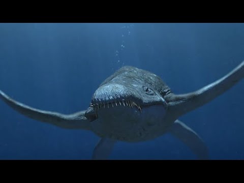 Predator X - Das Monster von Spitzbergen