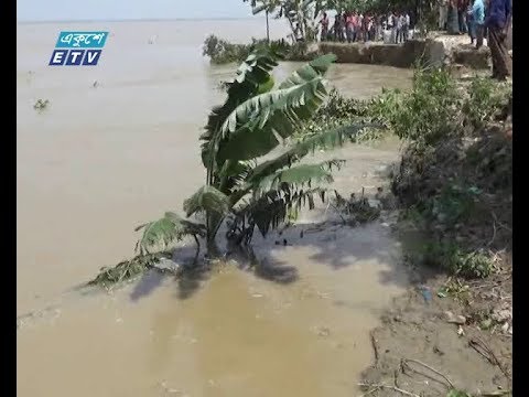 রাজবাড়ীতে আবারো শুরু হয়েছে পদ্মার ভাঙ্গন