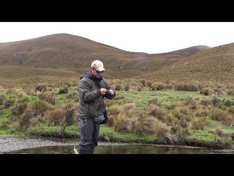 Pesca y devolución, en un magnifico lugar del Ecuador